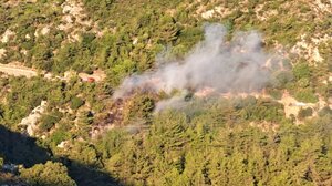 Φωτιά σε φαράγγι- Πήγε να κλαδέψει την κερασιά... και συνελήφθη- Βίντεο