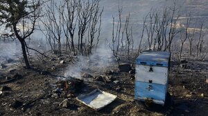 Ο απολογισμός των πυρκαγιών του Ιουλίου: Στους έξι οι νεκροί μετά τον θάνατο του μελισσοκόμου