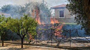 Φωτιές: Ολοκληρώθηκε η βασική φάση της καταγραφής ζημιών σε Αττική και Κορινθία