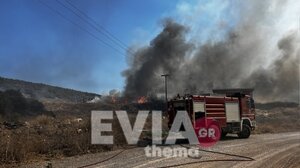 Δυο πυρκαγιές ταυτόχρονα στα Ψαχνά - Μήνυμα του 112