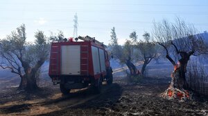  Μάχη με τις αναζωπυρώσεις σε Έβρο και Ροδόπη, διάσπαρτες εστίες στην Πάρνηθα 