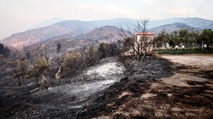  Πολύ υψηλός κίνδυνος πυρκαγιάς την Παρασκευή σε Αττική, Εύβοια και Βοιωτία