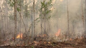 Χιλιάδες άνθρωποι απομακρύνθηκαν εξαιτίας των πυρκαγιών στον Καναδά