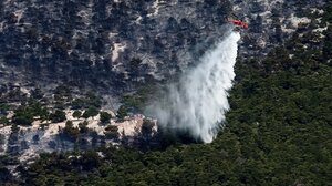  Φωτιά στην Πάρνηθα: Καίνε πολλές μικρές εστίες - Σε ετοιμότητα οι Θρακομακεδόνες, στους δρόμους οι κάτοικοι