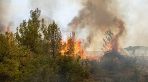 Σε εξέλιξη πυρκαγιά στο Δεβελίκη Ιερισσού