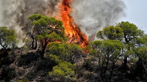 Υψηλός κίνδυνος εκδήλωσης πυρκαγιάς σε Αλεξανδρούπολη, Σουφλί, Σαμοθράκη