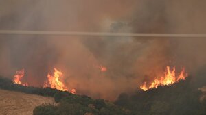 Στη Βουλή σήμερα η σύγκρουση των πολιτικών αρχηγών για τη διαχείριση των πύρινων μετώπων