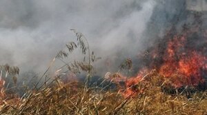 Πυρκαγιά στο Βαρόσι Έδεσσας