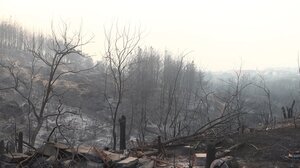 Στο μέτωπο της πυρκαγιάς στον Έβρο κυβερνητικό κλιμάκιο