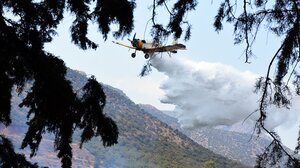 Αλεξανδρούπολη: Προσπάθειες να ανακοπεί η πορεία της πυρκαγιάς προς τον οικισμό της Δαδιάς 