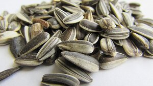 Ηλιόσποροι και γονιμότητα: Η διατροφική τους αξία και τα οφέλη