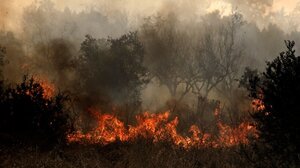 Μια προσαγωγή για εμπρησμό στην Τρίπολη