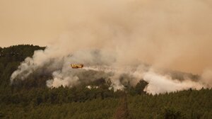 Πυρκαγιά στην Τενερίφη: Aπομακρύνθηκαν xιλιάδες άνθρωποι