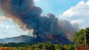 Φωτιά στον Έβρο: Μήνυμα από το 112 για εκκένωση στην Λευκίμμη