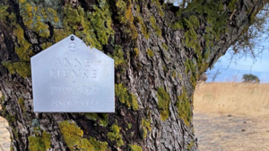 Γερμανοί θέλουν να σκορπιστούν οι στάχτες τους στην Κρήτη...