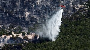 Πυρκαγιές: 1,7 δις ευρώ το κόστος στην Ελλάδα - 4,1 δις ευρώ στην Ευρώπη