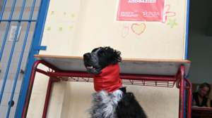 Εκλογές ΣΥΡΙΖΑ: Πάνω από 100.000 έχουν ψηφίσει έως τώρα - Πότε κλείνουν οι κάλπες