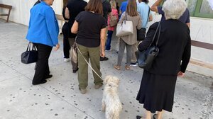 Ψήφισαν αγκαλιά με τους τετράποδους φίλους τους!