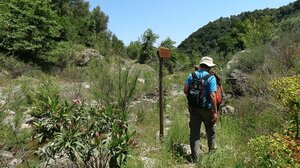 Ορειβατικός Σύλλογος Ηρακλείου: Στα Φαράγγια Καράνου – Μποριανό – Κυδώνι