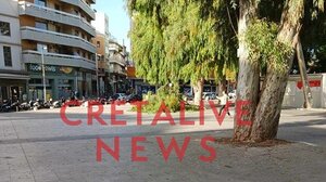 Πτώση μεγάλου κλαδιού στην πλατεία Ελευθερίας!