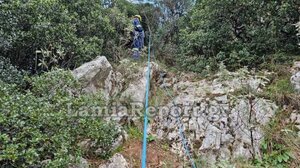 Κατέβηκαν γκρεμό 50 μέτρων και έσωσαν το κυνηγόσκυλο