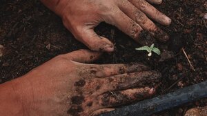 "Κραυγή" αγωνίας αγροτών και κτηνοτρόφων για τις επιδοτήσεις