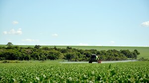 Μειώθηκε φέτος ο δείκτης παραγωγικότητας στον αγροτικό τομέα της Ελλάδας