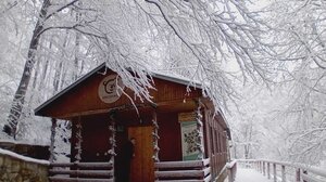 Οι αρκούδες του Αρκτούρου στο Νυμφαίο πήγαν για ύπνο