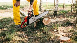 Γύρισε το ξυλοκοπτικό και τον τραυμάτισε στην πλάτη!