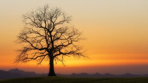 Σε ποιά περιοχή ξεπέρασε τους 25 °C η θερμοκρασία σήμερα