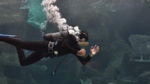 Ενυδρείο Κρήτης: Εντυπωσιακές εικόνες από την τελετή του Αγιασμού των Υδάτων