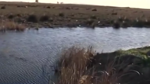 Βρέθηκε η σορός του Μπάμπη στο Μεσολόγγι – Αναγνωρίστηκε από τα ρούχα