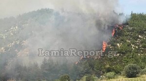 Φθιώτιδα: Γεγονός η πρώτη δασική πυρκαγιά για το 2024