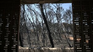 Έξι χρόνια από την τραγωδία στο Μάτι