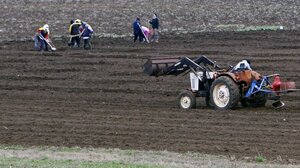 ΕΛΓΟ Δήμητρα: Σχεδόν 15.000 νέοι αγρότες θα εκπαιδευτούν έως το 2025