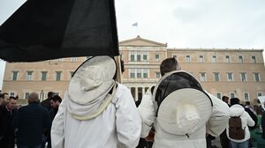 Στη Βουλή το αίτημα για μέτρα στήριξης των βιοπαλαιστών μελισσοκόμων