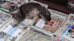 Τα πρωτοσέλιδα των εφημερίδων του κυριακάτικου Τύπου