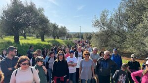 Πάνω από 200 περιπατητές στα Καμισιανά