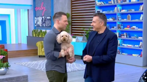 Στέφανος Κασσελάκης: Πριν από τη Θήβα έκανε "εισβολή" στην εκπομπή του Λιάγκα!