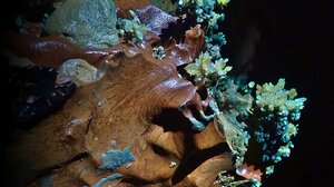 Στο "φως" τα αποτελέσματα των διεθνών αποστολών στο σπήλαιο των Στερνών