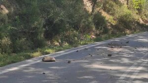 Μητέρα και παιδί τραυματίστηκαν μετά από κατολίσθηση στα Τοπόλια