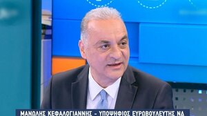 Μ. Κεφαλογιάννης: «Η Ευρώπη έχει πρόβλημα ηγεσίας, η Δύση είναι θύμα των επιτυχιών της»