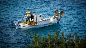 Πότε λήγουν οι προθεσμίες για Ειδικές Άδειες Αλιείας