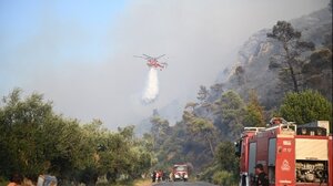 Σήμερα η πληρωμή 16 εκατ. ευρώ από τον ΕΛΓΑ 