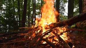 Στον Άρειο Πάγο σήμερα ο Β. Κικίλιας για το θέμα των εμπρησμών