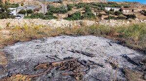 Τους έκαψαν τα ξύλα του Ιούδα λίγες ώρες πριν το "Χριστός Ανέστη"