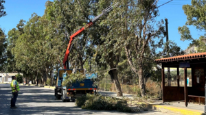 Εκτεταμένες εργασίες πράσινου στην Αμμουδάρα