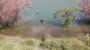 Ανακαλύψτε ένα χωριό που μαγεύει άνοιξη, καλοκαίρι, φθινόπωρο και χειμώνα!