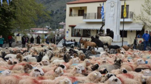 Ευλογία των προβάτων: ένα ξεχωριστό έθιμο που αναβιώνει ανήμερα του Αγ. Γεωργίου