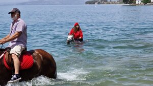 Εντυπωσιακό θέαμα από τον αγιασμό των αλόγων στο Πήλιο!